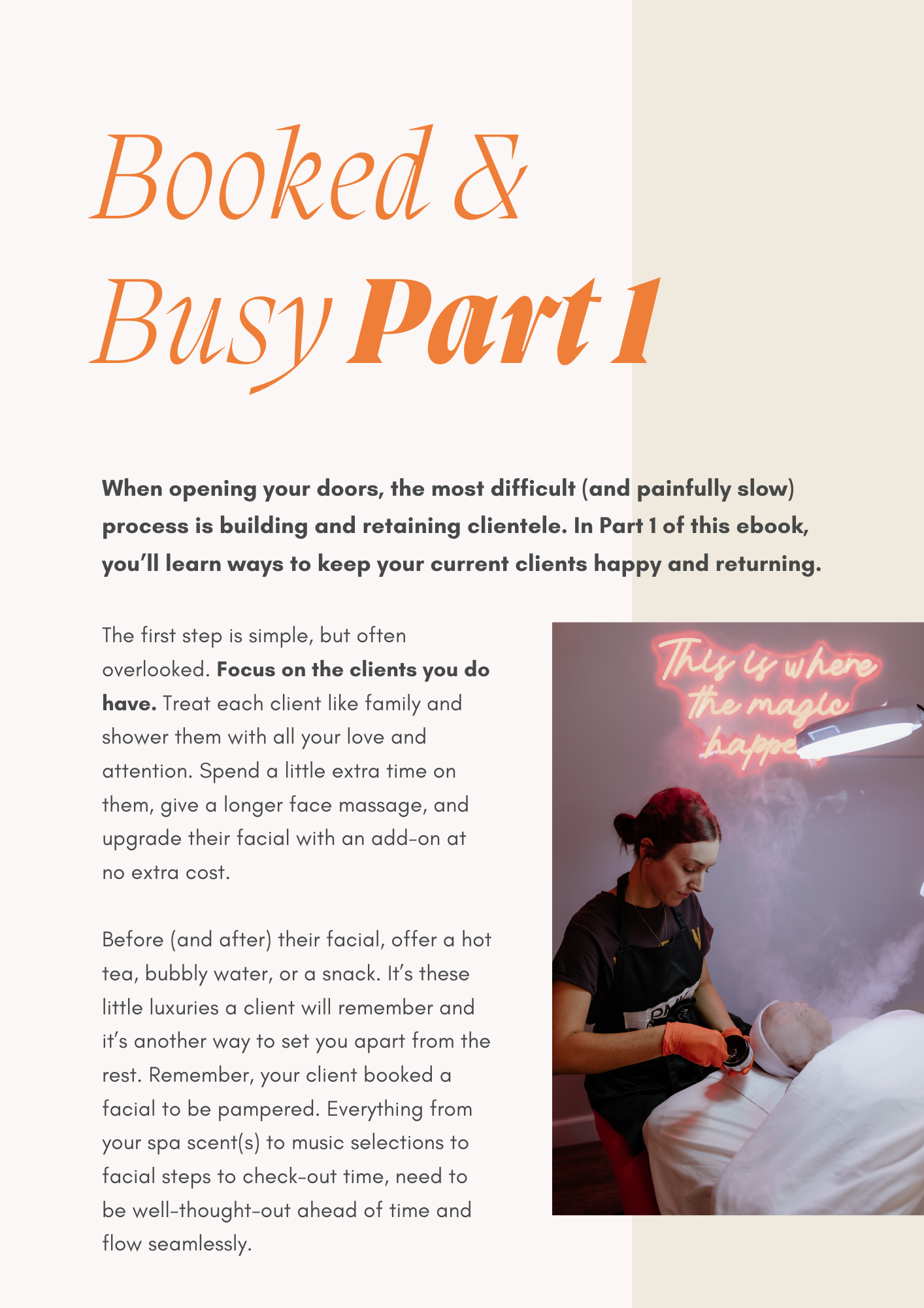 Booked & Busy (Ebook for Estheticians)